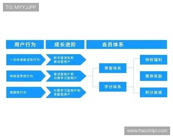 用户必看：开云体育app官方版入口的最新版本更新内容介绍