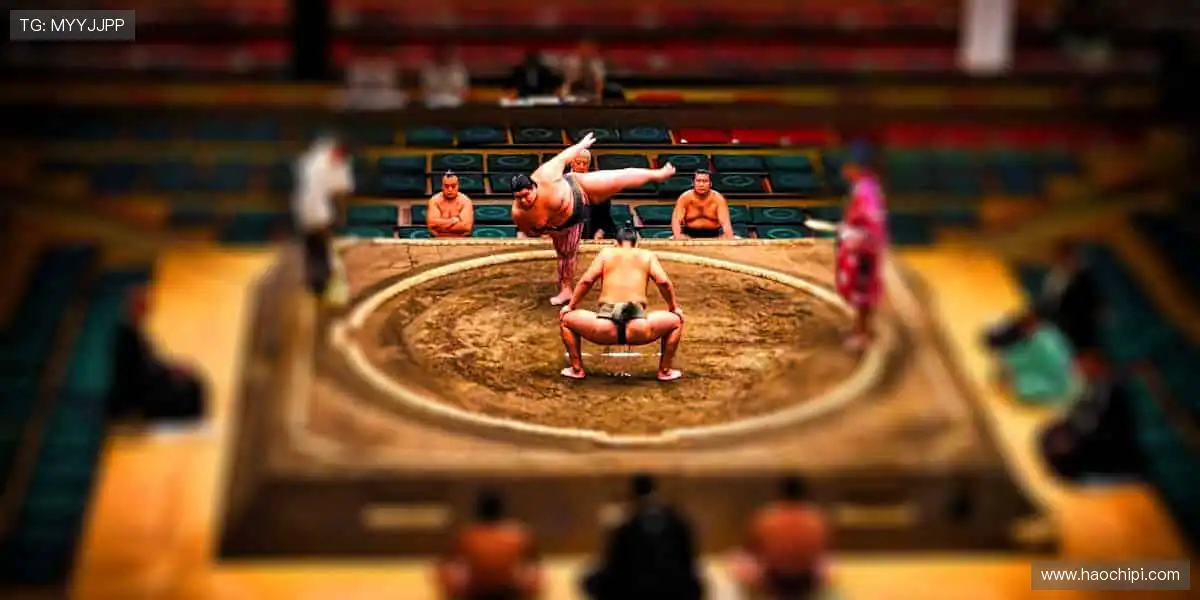 牛牛视讯直播厅：实时直播发牌过程，看牌抢庄公平竞技